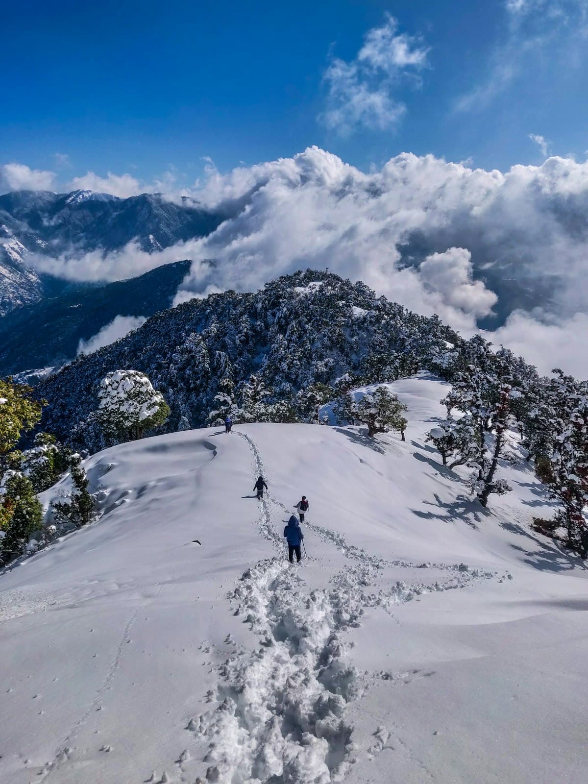 Kashmir 5 Nights 6 Days Tour Itinerary & Cost Breakdown (2026 Edition)